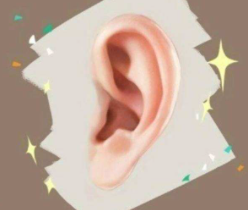 耳朵再造会看起来假吗？外耳再造分几期手术？