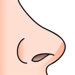 鼻综合恢复期要多久？鼻综合可以保持多少年？