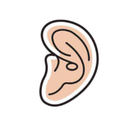 外耳廓整形使用什么方法？耳部矫正修复后的注意事项有哪些？